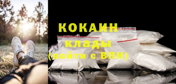 не бодяженный Ладушкин