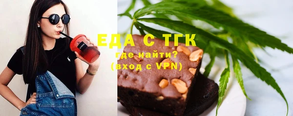 индика Кулебаки