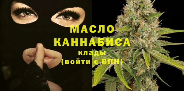 индика Кулебаки