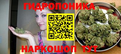 альфа пвп Донецк