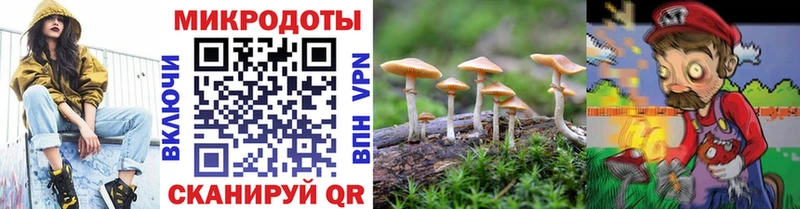 Галлюциногенные грибы прущие грибы  нарко площадка состав  Михайловка  купить закладку 