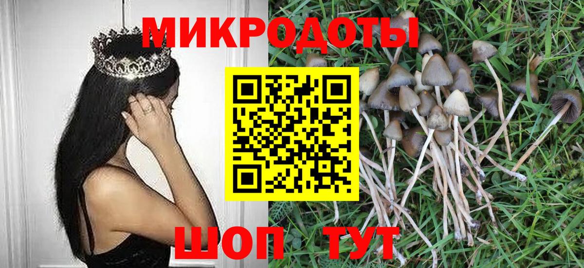 Псилоцибиновые грибы Magic Shrooms  Псилоцибиновые грибы Psilocybe  Вход с VPN  Михайловка 