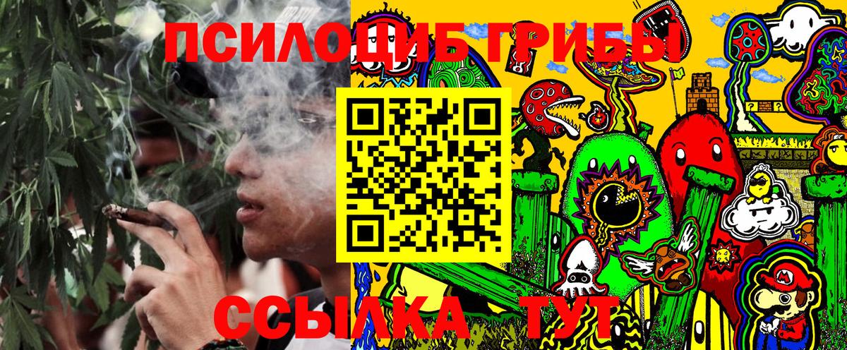 Галлюциногенные грибы Psilocybine cubensis Михайловка